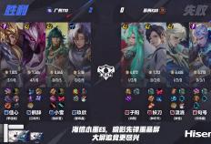 TTG3-1KSG，清(qīng)清(qīng)正反(fǎn)手教(jiào)学蘿(luó)卜，鹤辞力壓(yā)流(liú)浪，小雪稳定C