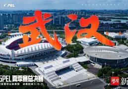 2025PEL和平精英职业联赛夏季赛总决赛激情开战