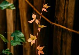 亮点「十(shí)月·金秋」精彩活动集锦来啦~