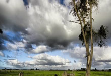 本周末起，武汉这些路段将禁行