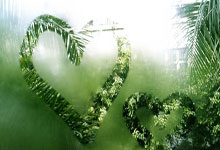 DOTA2国际邀请赛中国战队获亚军 2026赛事重返上海