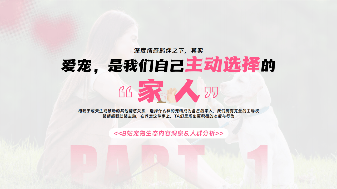 嗶(bì)哩(lī)嗶(bì)哩(lī)运营：嗶(bì)哩(lī)嗶(bì)哩(lī)2025年宠物行业营销通案